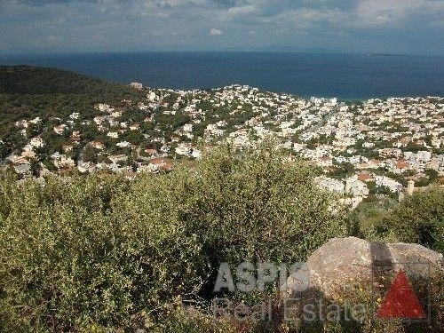 (For Sale) Land Plot || East Attica/Saronida - 1.236 Sq.m, 450.000€ 