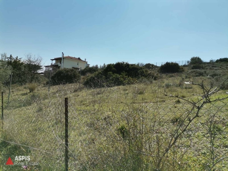 (For Sale) Land Plot || East Attica/Koropi - 450 Sq.m, 100.000€ 