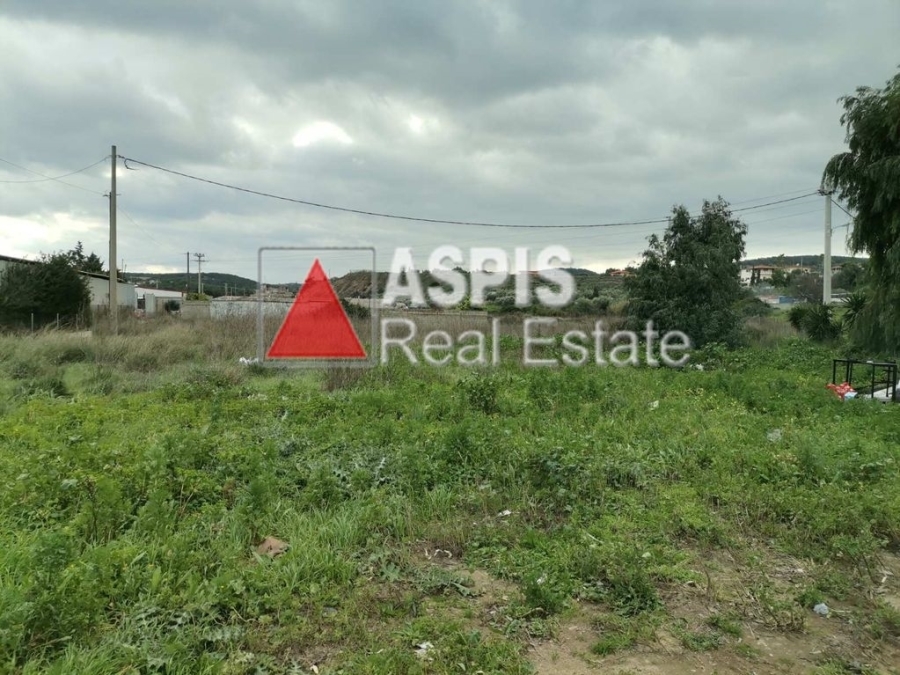 (For Rent) Land Plot || East Attica/ Lavreotiki - 5.000 Sq.m, 800€ 