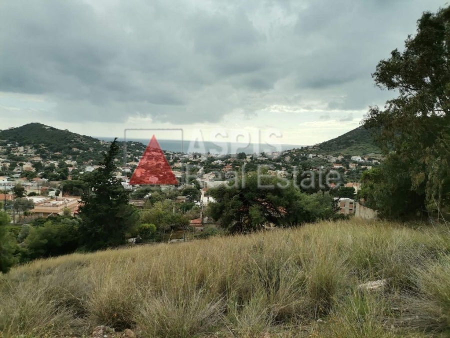 (For Sale) Land Plot || East Attica/Koropi - 1.300 Sq.m, 780.000€ 